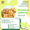 สารสกัดกำยาน boswellia